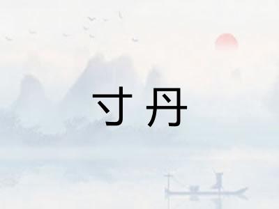 寸丹