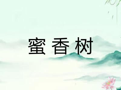 蜜香树