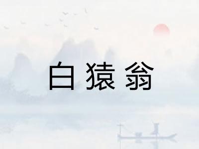 白猿翁