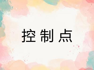 控制点