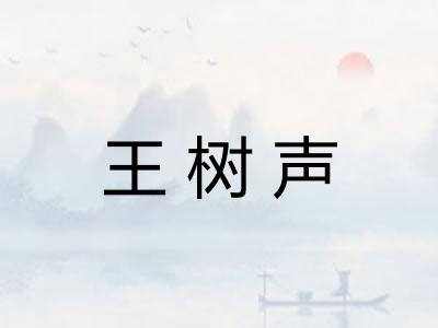 王树声