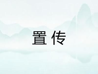 置传