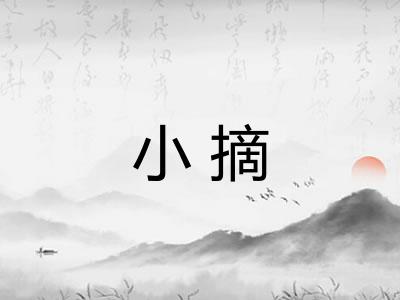 小摘