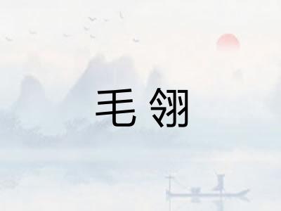 毛翎