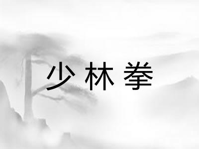 少林拳