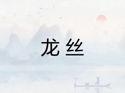 龙丝