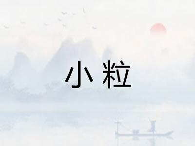 小粒