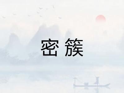 密簇