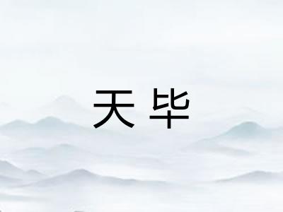 天毕