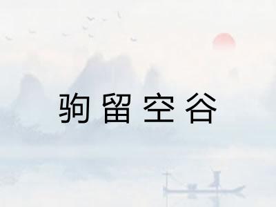 驹留空谷