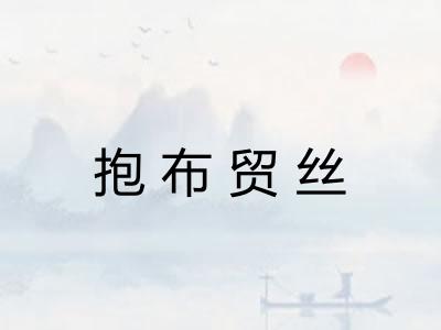 抱布贸丝