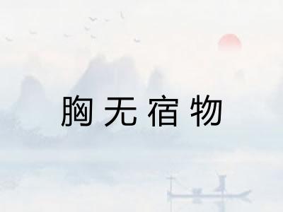 胸无宿物