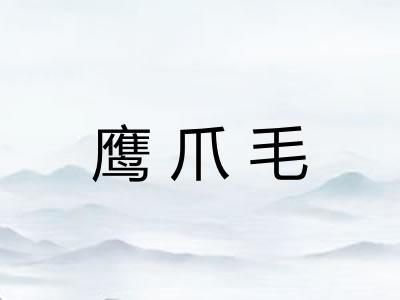 鹰爪毛