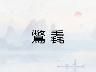 鷩毳