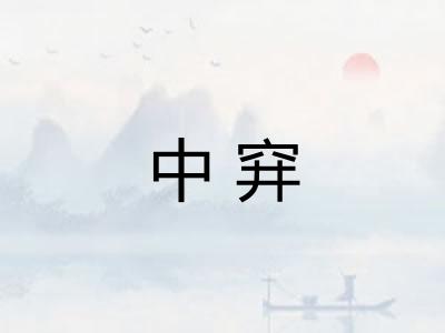 中穽