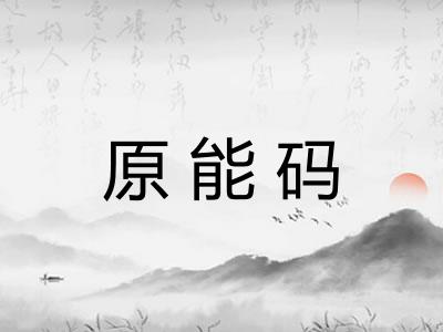 原能码