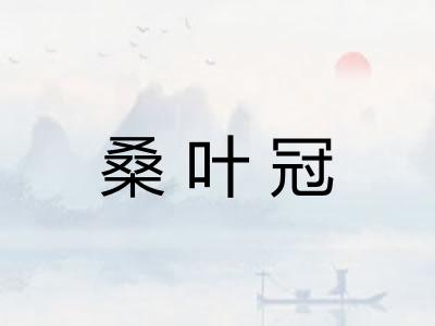 桑叶冠