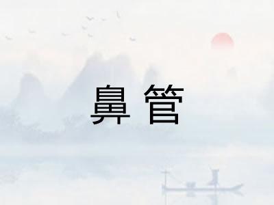 鼻管