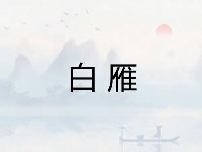 白雁