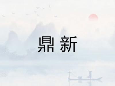 鼎新