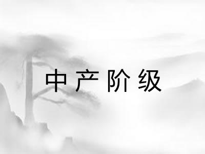 中产阶级