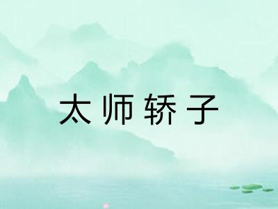 太师轿子