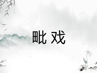 毗戏