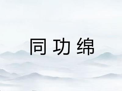 同功绵