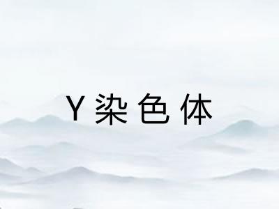 Y染色体