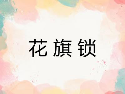 花旗锁