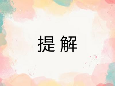 提解