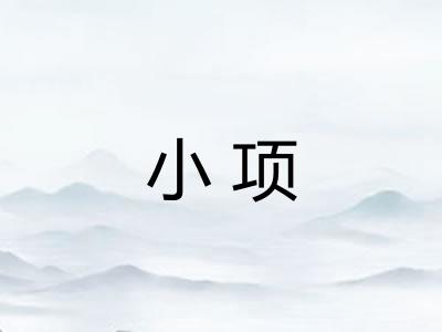 小项