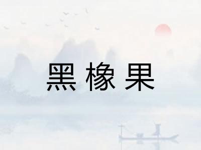 黑橡果