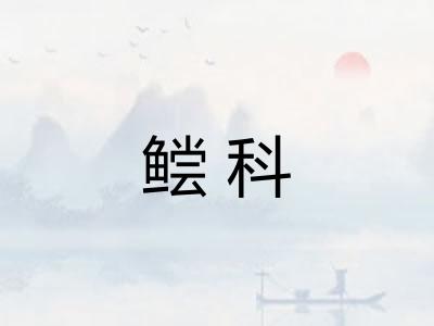 鲿科