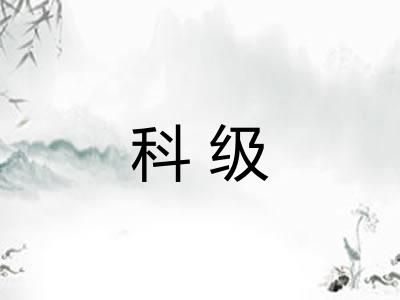 科级