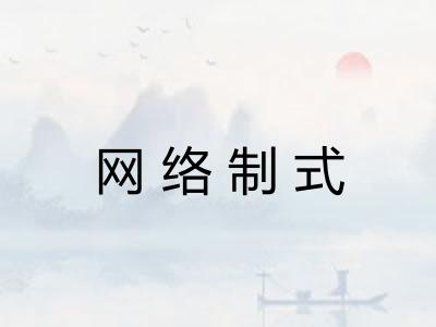 网络制式