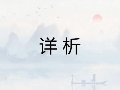 详析