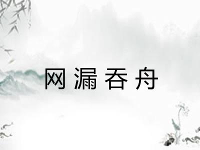 网漏吞舟