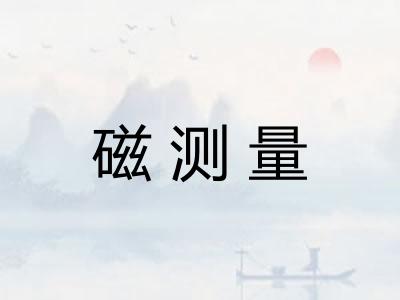 磁测量