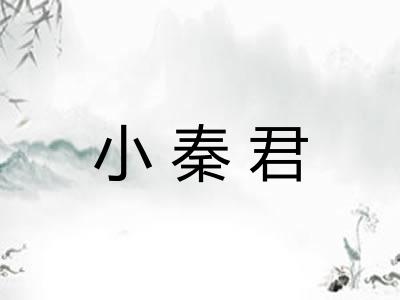 小秦君