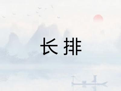 长排