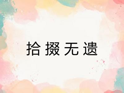 拾掇无遗