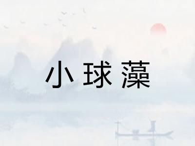 小球藻