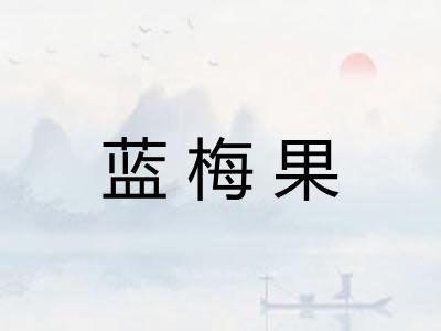 蓝梅果