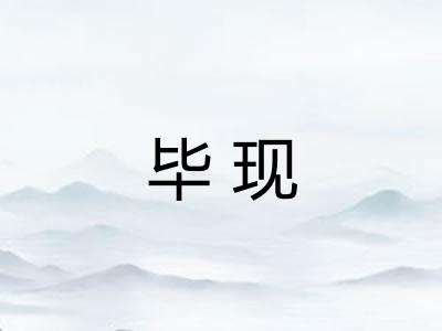 毕现