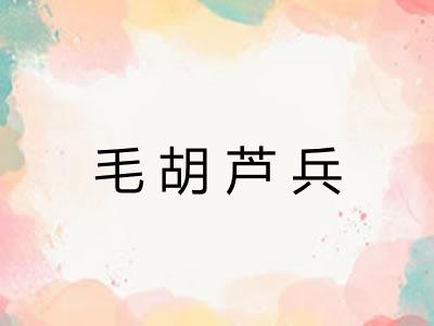 毛胡芦兵