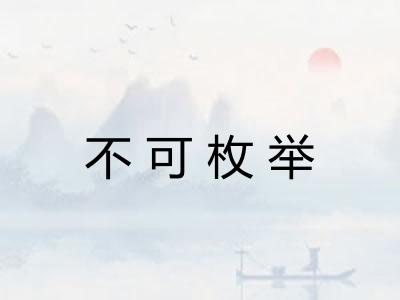 不可枚举