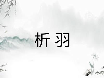 析羽