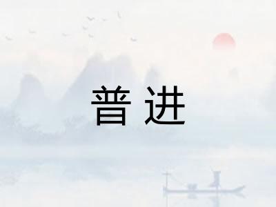 普进