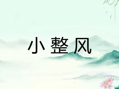 小整风